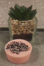 Load image into Gallery viewer, Wax tarts