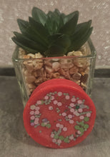 Load image into Gallery viewer, Wax tarts