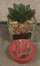 Load image into Gallery viewer, Wax tarts