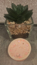 Load image into Gallery viewer, Wax tarts