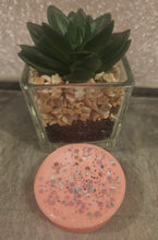 Load image into Gallery viewer, Wax tarts