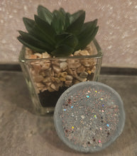 Load image into Gallery viewer, Wax tarts