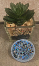 Load image into Gallery viewer, Wax tarts