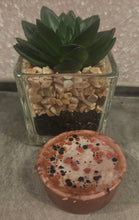 Load image into Gallery viewer, Wax tarts