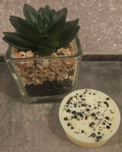 Load image into Gallery viewer, Wax tarts