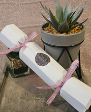 Load image into Gallery viewer, Handmade Christmas Cracker with Wax Melt Samples or Snapbar