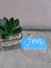 Load image into Gallery viewer, Baby Milestone Discs – Personalised Acrylic Set | Hello World + 1-12 Months | Custom Colours | New Baby Gift