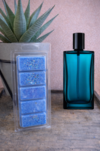 Load image into Gallery viewer, Cold waters Scented Wax Melts - 5 cell Clamshell
