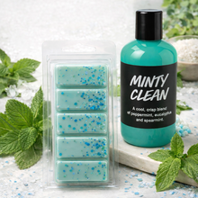 Load image into Gallery viewer, Minty Clean Wax Melt Clamshell | 50g