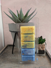 Load image into Gallery viewer, Brisa Scented Wax Melts - 5 cell Clamshell