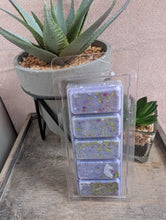 Load image into Gallery viewer, Extraterrestrial Scented Wax Melts - 5 cell Clamshell