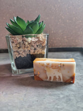 Load image into Gallery viewer, French bull dog shaped wax melts sample box