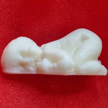 Load image into Gallery viewer, wax melt baby