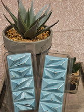 Load image into Gallery viewer, Spring Ignite - Wax melt geode clamshell
