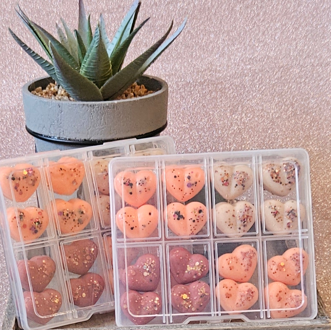 Autumn wax melt sample box