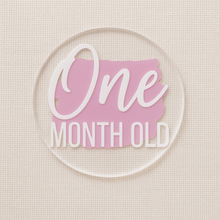 Load image into Gallery viewer, Baby Milestone Discs – Personalised Acrylic Set | Hello World + 1-12 Months | Custom Colours | New Baby Gift
