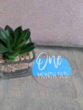 Load image into Gallery viewer, Baby Milestone Discs – Personalised Acrylic Set | Hello World + 1-12 Months | Custom Colours | New Baby Gift
