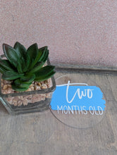Load image into Gallery viewer, Baby Milestone Discs – Personalised Acrylic Set | Hello World + 1-12 Months | Custom Colours | New Baby Gift

