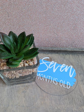 Load image into Gallery viewer, Baby Milestone Discs – Personalised Acrylic Set | Hello World + 1-12 Months | Custom Colours | New Baby Gift
