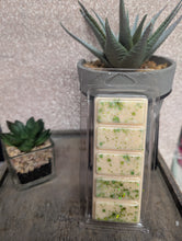 Load image into Gallery viewer, Lilt Wax Melt Snap Bar | 50g Soy Wax Clamshell – Discontinued Scent
