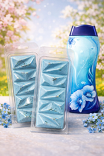 Load image into Gallery viewer, Spring Ignite - Wax melt geode clamshell
