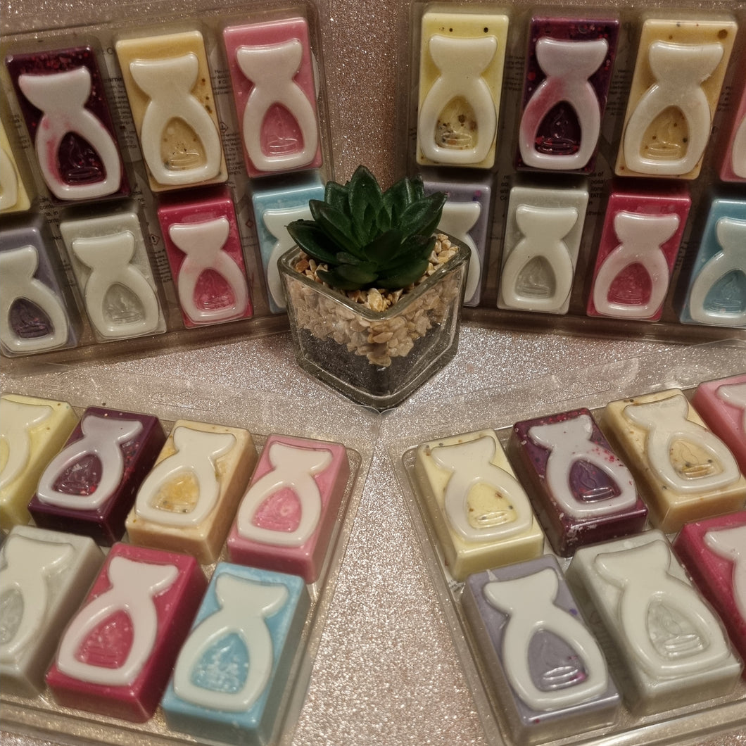 soy wax melt 8 cell burner clamshell - perfume collections