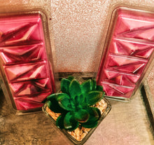 Load image into Gallery viewer, Rose scented soy wax melt geo clamshell
